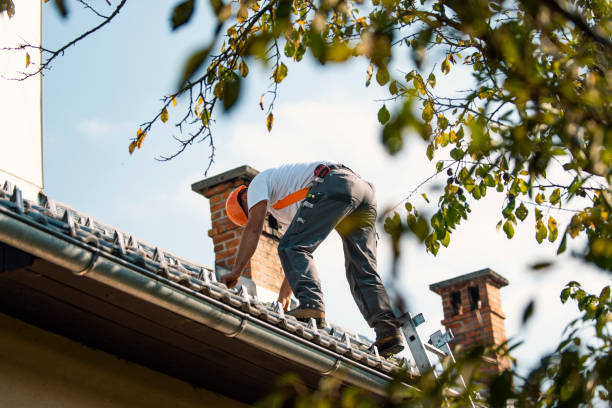 Best Flat Roof Repair Services  in Claryville, KY